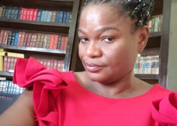 Procurement Of Security Equipment by Sanwo-Olu Heart-Warming -Woman Activist