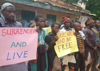 Much Ado About The Surrender Of Repentant Boko Haram Members