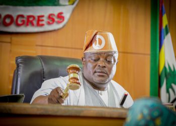 Lagos Assembly Passes VAT, Open Grazing Bills