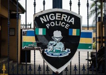How South African Returnee Dies In Imo Police Custody