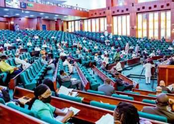 Foreign Treatment: Reps Propose Seven-year Imprisonment, N500m Fine For Officials
