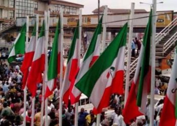 PDP Accused APC Of Shielding Dealers Behind Adulterated Fuel Importation