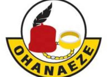 PDP: Ohanaeze, S-East Presidential Hopefuls Plot Counter Move Over Consensus