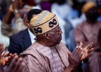 If Tinubu Roars, His Lionesses And Cubs Will Respond- Babajide Kolade-Otitoju