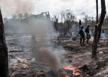 Tragedy: Illegal Refinery Explosion Killed Over 100 Persons In Imo