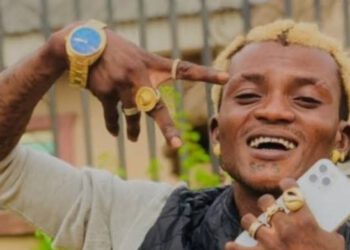 Homewin, A Product Of Sujimoto, Signs Portable As Ambassador