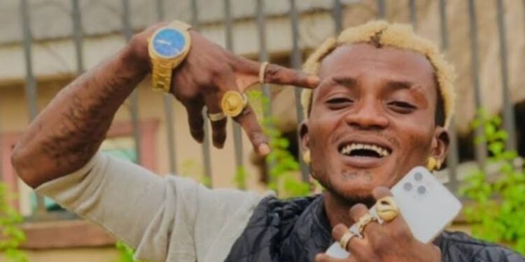 Homewin, A Product Of Sujimoto, Signs Portable As Ambassador