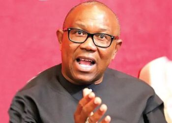 Nigeria Doesn’t Need Consensus Candidate But Problem Solver – Peter Obi