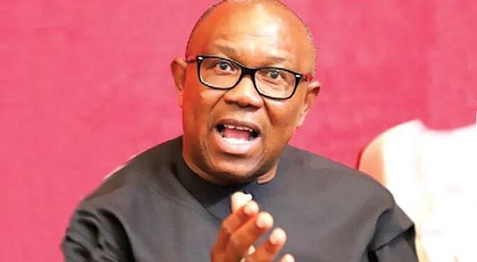Nigeria Doesn’t Need Consensus Candidate But Problem Solver – Peter Obi