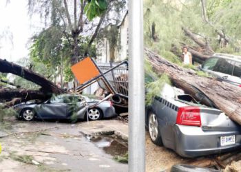 Sunday Morning Rainstorm Uproots Trees, Destroys Vehicles, Buildings In Lagos