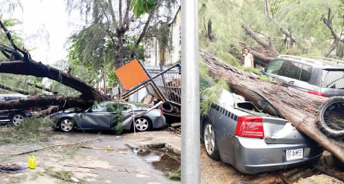 Sunday Morning Rainstorm Uproots Trees, Destroys Vehicles, Buildings In Lagos