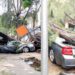 Sunday Morning Rainstorm Uproots Trees, Destroys Vehicles, Buildings In Lagos