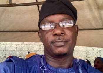 French Village: I Will Add Values As Director/CEO -Prof Ayeleru