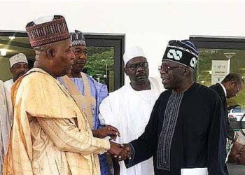 Why Tinubu Won APC Presidential Primary – Ex-Borno Gov, Shettima