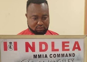 Italy Bound Haulage Agent, Liberia Bound Freight Agent, Psychoactive Substance Producer Nabbed By NDLEA