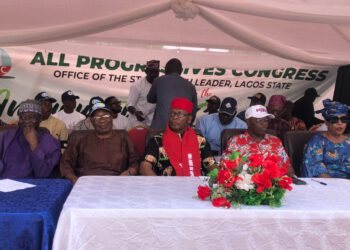 APC Ethnic Youth Groups To Deliver 30Million Votes For Tinubu
