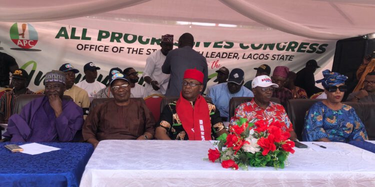 APC Ethnic Youth Groups To Deliver 30Million Votes For Tinubu
