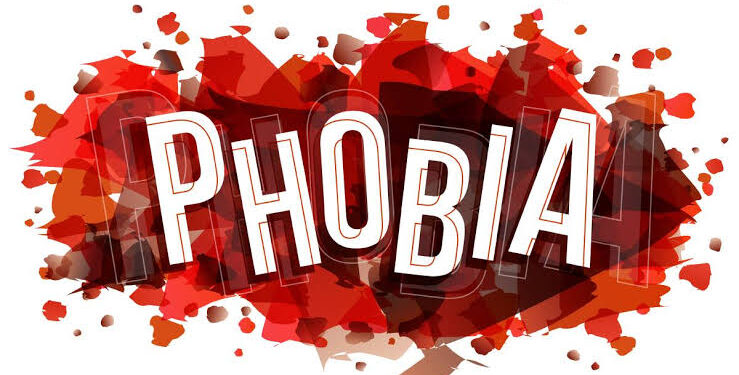 Phobia: Your Fears, My Fears By Daniel Oluwatosin