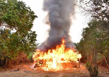 NDLEA Razes Cannabis Warehouses In Edo Forest