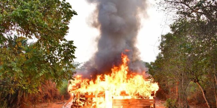 NDLEA Razes Cannabis Warehouses In Edo Forest