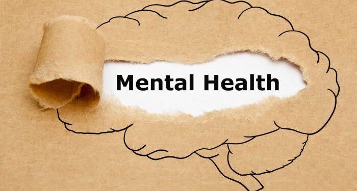 The Stigmatization Of Mental Health And Mental Illness In Nigeria By Taiwo Abigeal Boluwatife