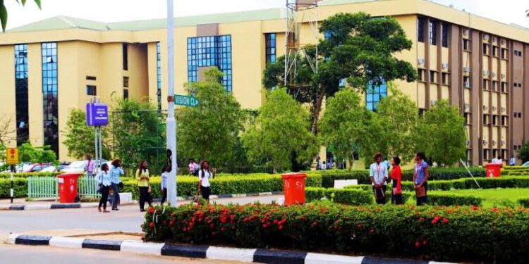 Ways Students In Universities In Nigeria Can Make Money Legitely By Alex Daniel