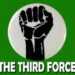 The Emergence Of The Third Force In Our Political Phase By Ngobidi Emmanuel Chichetam