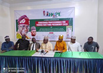 Concerned Professionals For Tinubu/Shettima Presidency 2023 Plans Strategic Engagement Of Grassroot Voters