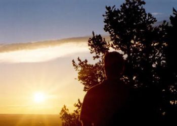 What Does Reality Of Life Demand: Competition Or Collaboration? By Yusuff Latifat Adeola