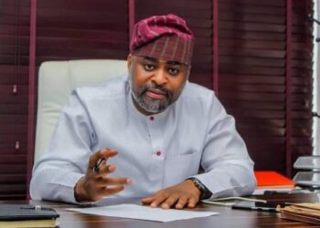 The President Nigerians Need In A Time Of Adversity By Adeyanju Binuyo