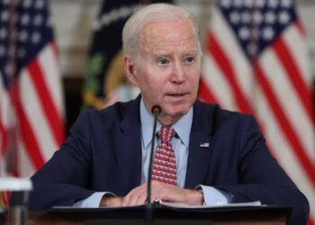 NADECO Tells Biden To Ignore Chimamanda Adichie’s Anti-Tinubu Letter