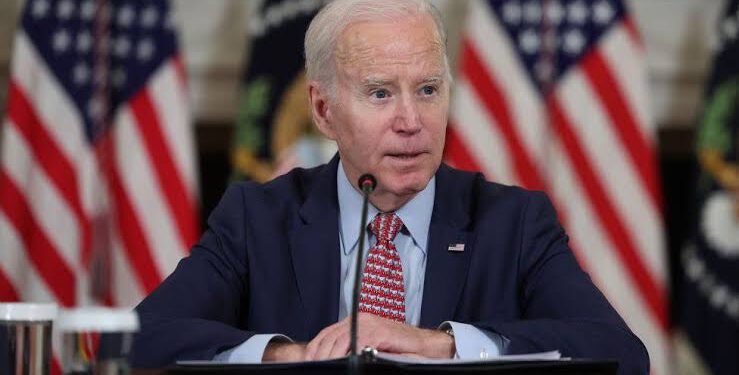 NADECO Tells Biden To Ignore Chimamanda Adichie’s Anti-Tinubu Letter