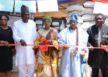 Lagos Launches Distribution Of Agricultural Inputs, Production Assets To 20,000 Farmers