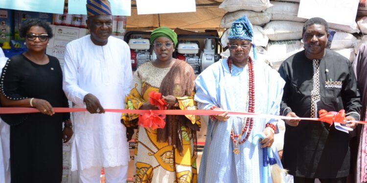 Lagos Launches Distribution Of Agricultural Inputs, Production Assets To 20,000 Farmers