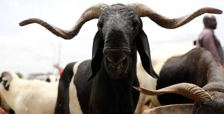 Eid-El-Kabir: FG Declares Wednesday, Thursday Public Holiday