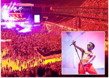 Wizkid Shuts Down Tottenham Hotspur Stadium With ‘More Love Less Ego’ Concert
