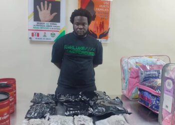 Artistes’ Manager, Businessman Selling Drugs To Lagos Highbrow Nightclubs In NDLEA’s Net