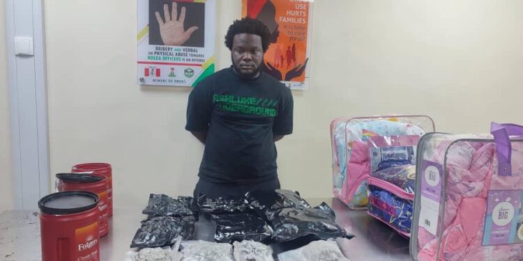Artistes’ Manager, Businessman Selling Drugs To Lagos Highbrow Nightclubs In NDLEA’s Net