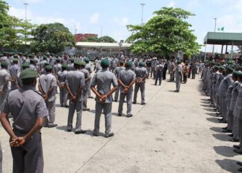 Six Land Borders Have Been Opened – Customs