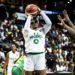 2023 FIBA: D’Tigress Are African Champions Again, Defeats Senegal