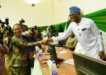 Modest Achievements In Lagos Earns My Federal Appointment- Dr Dolapo Fasawe