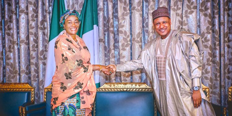 Information Minister Visits Oluremi Tinubu