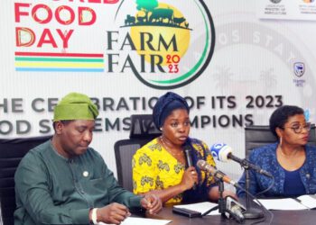 World Food Day: Lagos Vows To Curb Food Wastage