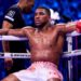 Joshua Told To Chase Titles Not Wilder Fight