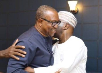 LP To Atiku: Don’t Drag Obi Into Your Tinubu Fight, He’s At Supreme Court For justice
