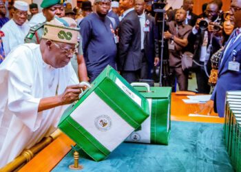 Budget Of Renewed Hope, Better Days Ahead For Nigeria And Nigerians By Hon. Segun Olulade Eleniyan