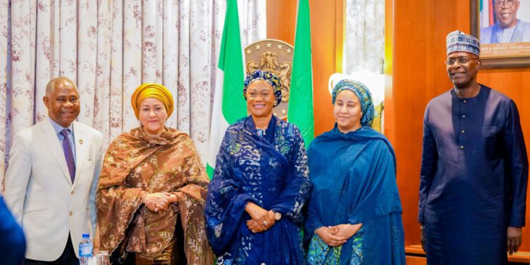 Oluremi Tinubu Urges Increased Agricultural Engagement During UN Meeting