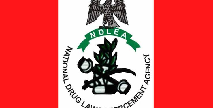 Hotelier Takes NDLEA To Court Over Invasion Of House and Business Premises