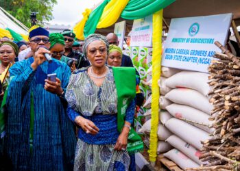 RHI: Oluremi Tinubu Launches Agricultural Support Programme For Women Farmers