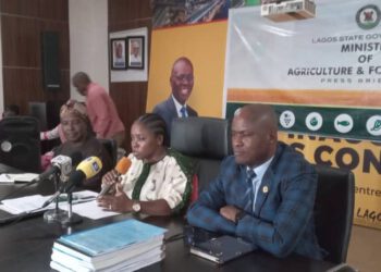 Lagos State Government Advocates for Subsistence Farming and Announces Agric Ministry Name Change for Enhanced Service Delivery